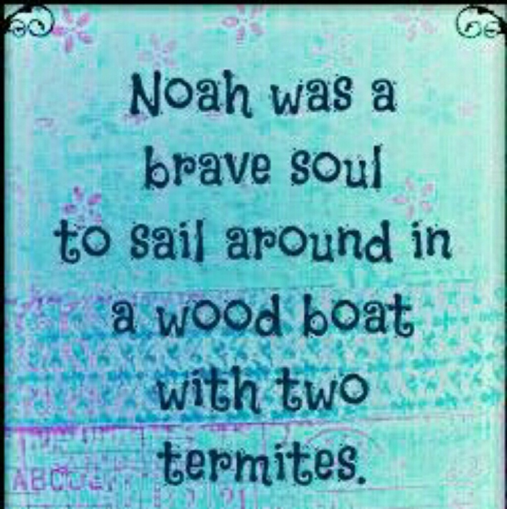 NOAH'S ARK